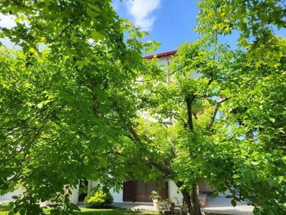 Appartement Λουίζα Studio Έως 2 Άτομα à Paliouri