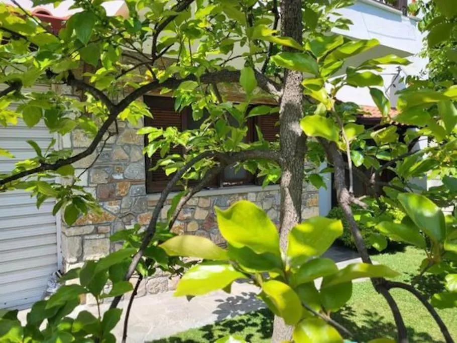 Appartement Λουίζα Studio Έως 2 Άτομα à Paliouri Grèce